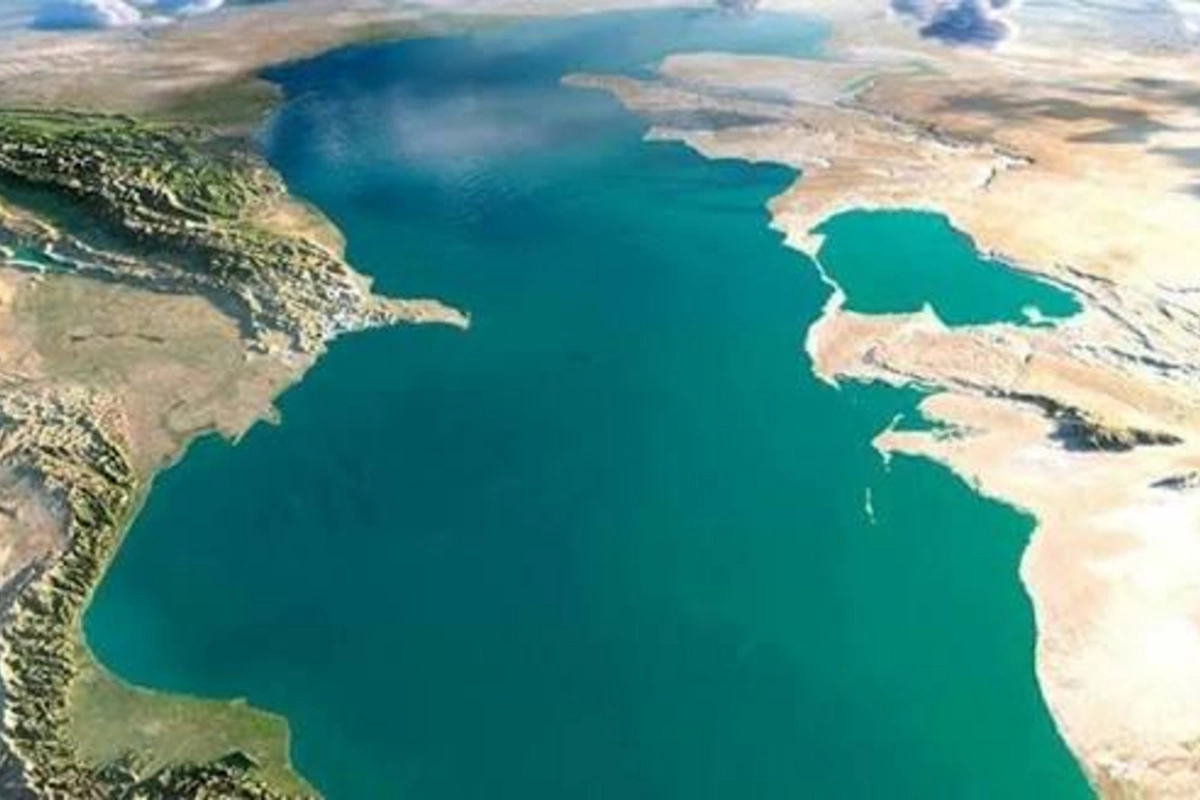 5 ölkə Xəzərin su bioresursları üzrə vahid məlumat bazası yarada bilər 5 ölkə Xəzərin su bioresursları üzrə vahid məlumat bazası yarada bilər