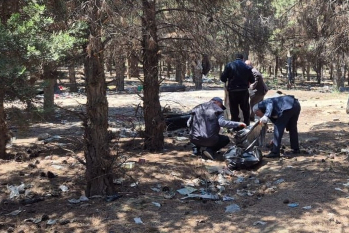 Abşeronda 64 ağacın məhv edildiyi yaşıllıq sahəsi bərpa olunub Abşeronda 64 ağacın məhv edildiyi yaşıllıq sahəsi bərpa olunub