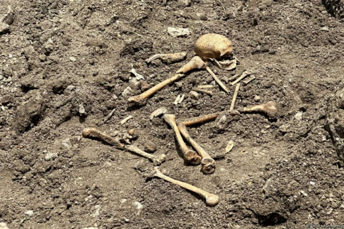 Ağdamda qazıntı zamanı insan skeletinə bənzər qalıqlar aşkarlanıb