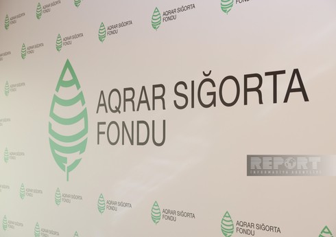 Aqrar Sığorta Fondu 10 aylıq nəticələri açıqlayıb Aqrar Sığorta Fondu 10 aylıq nəticələri açıqlayıb