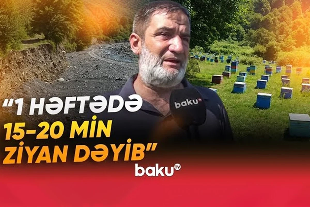 Arıçıların başına oyun açan hadisə: 