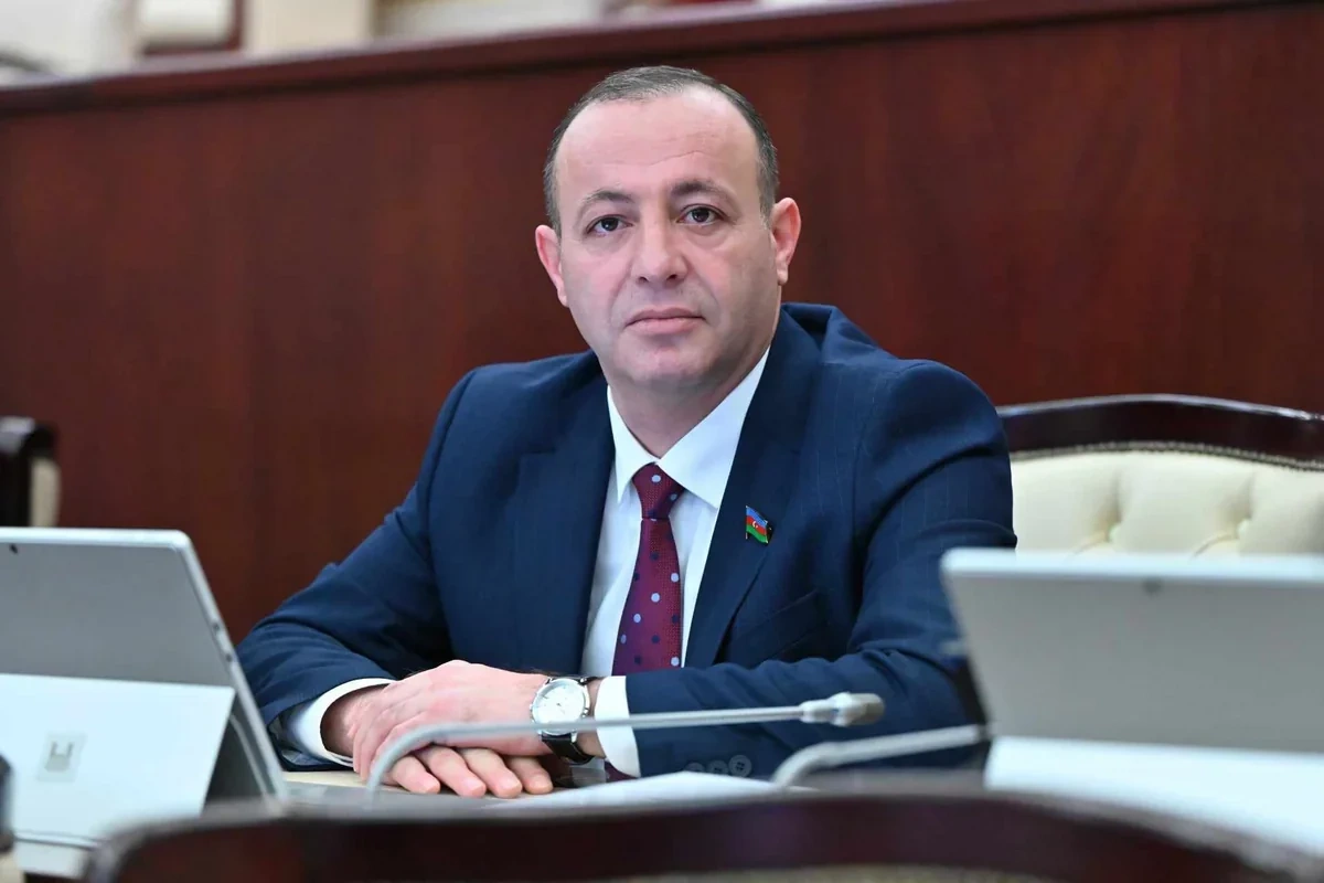 Avropa Parlamentinin mövqeyi ikili standartların göstəricisidir Avropa Parlamentinin mövqeyi ikili standartların göstəricisidir
