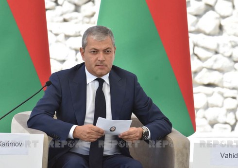 Aydın Kərimov: “Daşaltıda bərpa işləri ilə bağlı baş planının hazırlanması son mərhələdədir”