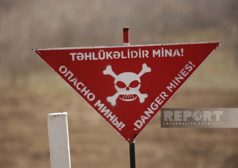 Azad edilmiş ərazilərdə daha 250 mina aşkarlanıb Azad edilmiş ərazilərdə daha 250 mina aşkarlanıb