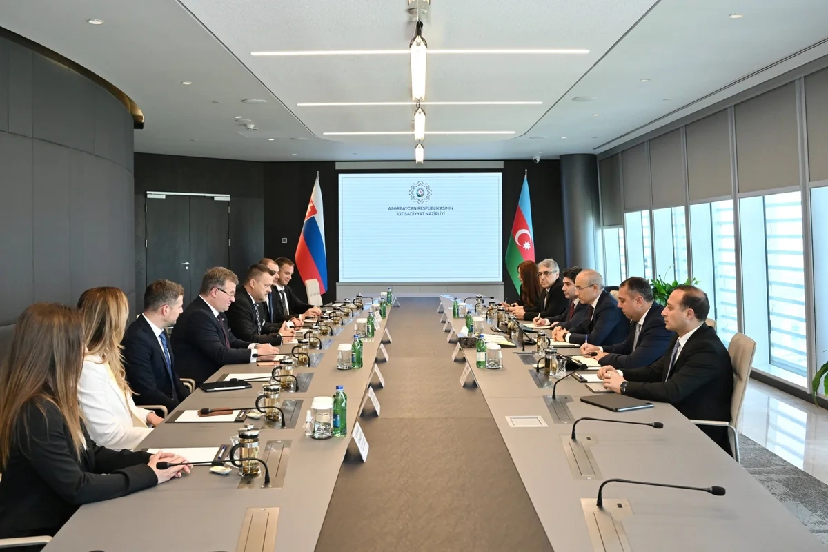 Azərbaycan və Slovakiya biznes əlaqələrinin gücləndirilməsini müzakirə edib