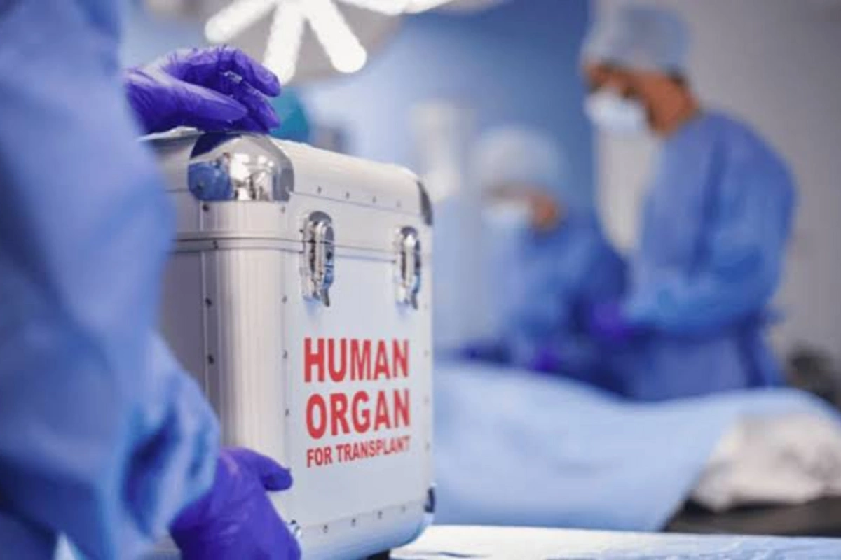 Azərbaycanda 1400-dən artıq şəxs orqan və toxuma transplantasiyası üçün növbə gözləyir - RƏSMİ