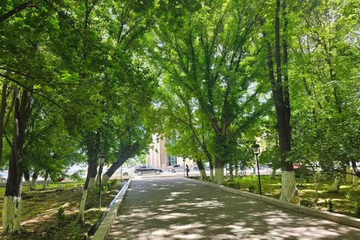 Azərbaycanda məşhur park abadlaşdırılacaq -  2,9 milyonluq LAYİHƏ