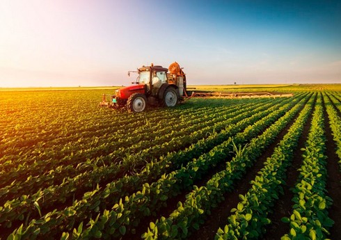 Azərbaycanda aqrar sektor 3 % böyüyüb