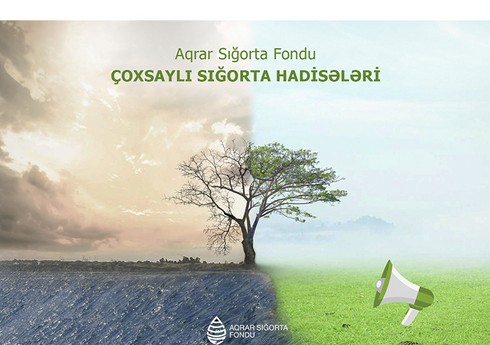 Azərbaycanda hava şəraiti ilə əlaqədar təsərrüfatlara dəymiş zərər hesablanır Azərbaycanda hava şəraiti ilə əlaqədar təsərrüfatlara dəymiş zərər hesablanır