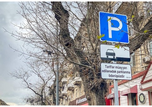 Bakıda 1400 manat dəyərində parklanma lövhələri oğurlanıb Bakıda 1400 manat dəyərində parklanma lövhələri oğurlanıb