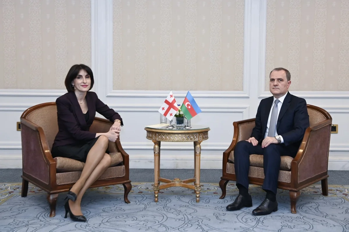Bakı və Tbilisi arasında strateji dialoq: İstanbulda üçtərəfli görüş çərçivəsində müzakirələr aparıldı
