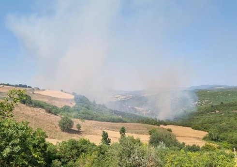 Balıkəsirdə meşədə yanğın başlayıb Balıkəsirdə meşədə yanğın başlayıb