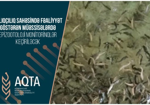 Balıqçılıq sahəsindəki müəssisələrdə epizootoloji monitorinqlər keçiriləcək Balıqçılıq sahəsindəki müəssisələrdə epizootoloji monitorinqlər keçiriləcək