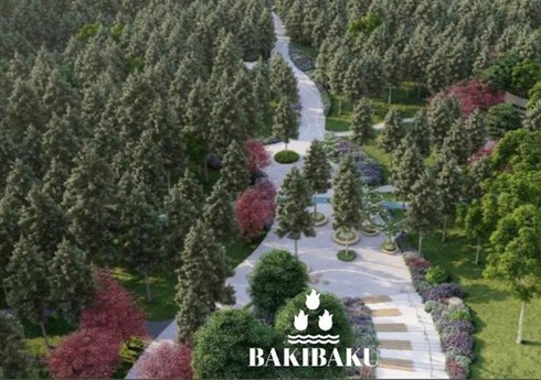 BŞİH: Yasamalda yerləşən köhnə ağaclıq ərazi abadlaşdırılır, daha bir park salınır BŞİH: Yasamalda yerləşən köhnə ağaclıq ərazi abadlaşdırılır, daha bir park salınır