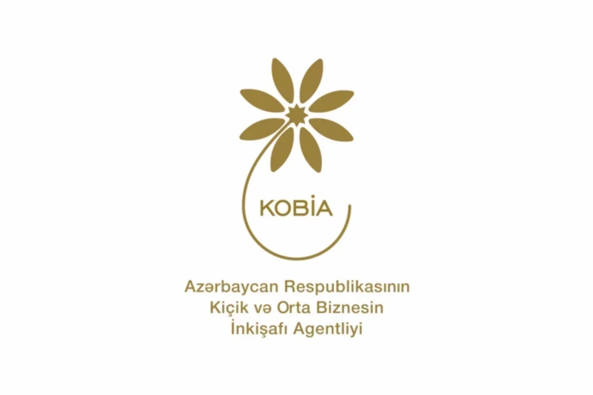 Cari ilin I yarısında KOB evlərində sahibkarlara 312 mindən çox xidmət göstərilib
