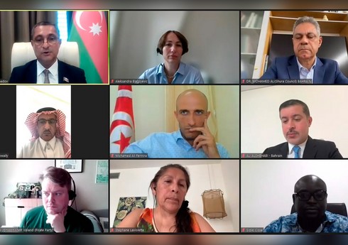 COP29 çərçivəsində parlamentlərarası dialoq mövzusunda onlayn iclas keçirilib