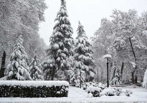 Dağlıq ərazilərdə qar yağıb, Bakıda temperatur normadan aşağı olub - FAKTİKİ HAVA
