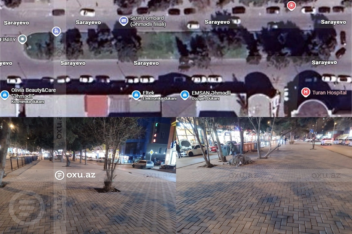 Əhmədlidə üç il əvvəl tikintiyə icazə verilməyən ərazidə AĞACLAR QIRILDI, yerinə daş döşəndi - Sakin ŞİKAYƏTİ Əhmədlidə üç il əvvəl tikintiyə icazə verilməyən ərazidə AĞACLAR QIRILDI, yerinə daş döşəndi - Sakin ŞİKAYƏTİ