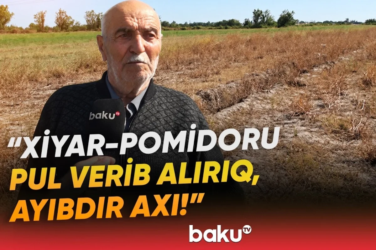 Əkin sahələri susuzluqdan məhv olan sakinlər şikayətçidir Əkin sahələri susuzluqdan məhv olan sakinlər şikayətçidir