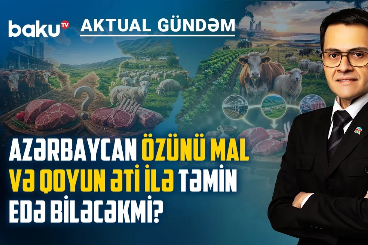 Ət bazarında yeni qaydalar: Fermer, istehlakçı və qiymətlər necə dəyişəcək?