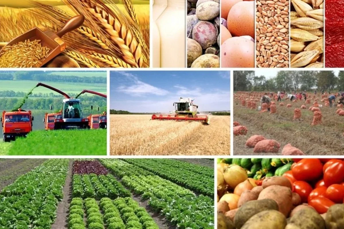 Fermerin qayğısı nədir? - Aqrar sahə üçün süni intellekt və vahid bazar təklifi