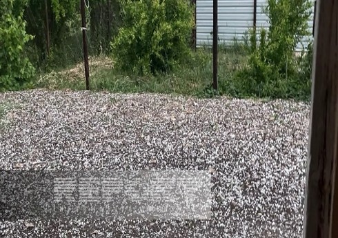 Goranboyun bir neçə kəndinə dolu yağıb Goranboyun bir neçə kəndinə dolu yağıb