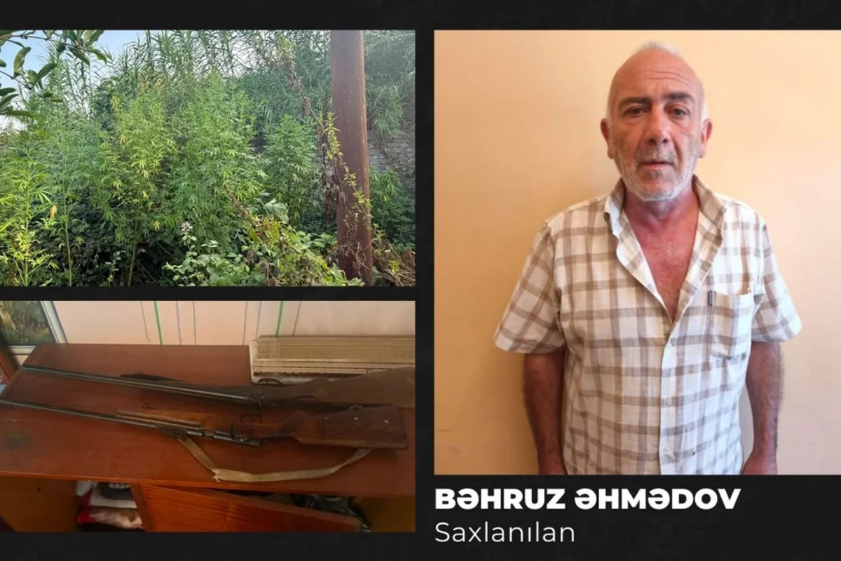 Göyçayda narkotik tərkibli bitkilər yetişdirən şəxs saxlanılıb Göyçayda narkotik tərkibli bitkilər yetişdirən şəxs saxlanılıb