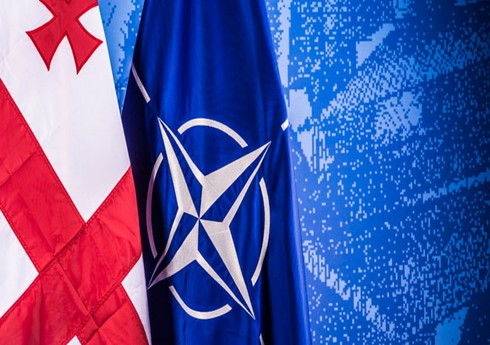Gürcüstan NATO-nun sammitində iştirak edəcək Gürcüstan NATO-nun sammitində iştirak edəcək