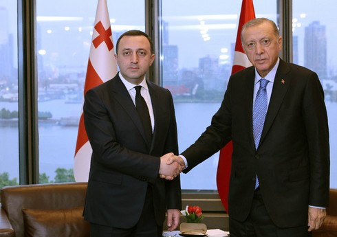 Gürcüstanın Baş naziri Türkiyə lideri ilə ikitərəfli əlaqələri müzakirə edib