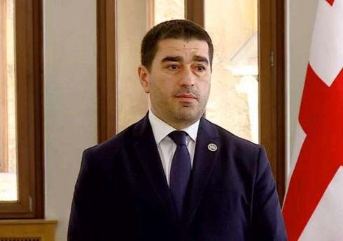 Gürcüstanın spikeri: Xarici donorlar radikal partiyaların məxfi maliyyələşməsini artırıblar