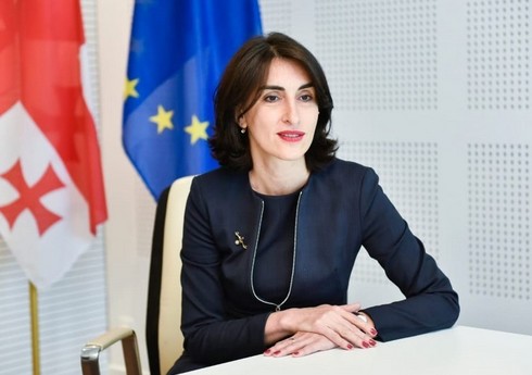 Gürcüstanın xarici işlər naziri: Aİ qərar qəbul edərkən yanlış təsəvvürlərə əsaslanmamalıdır