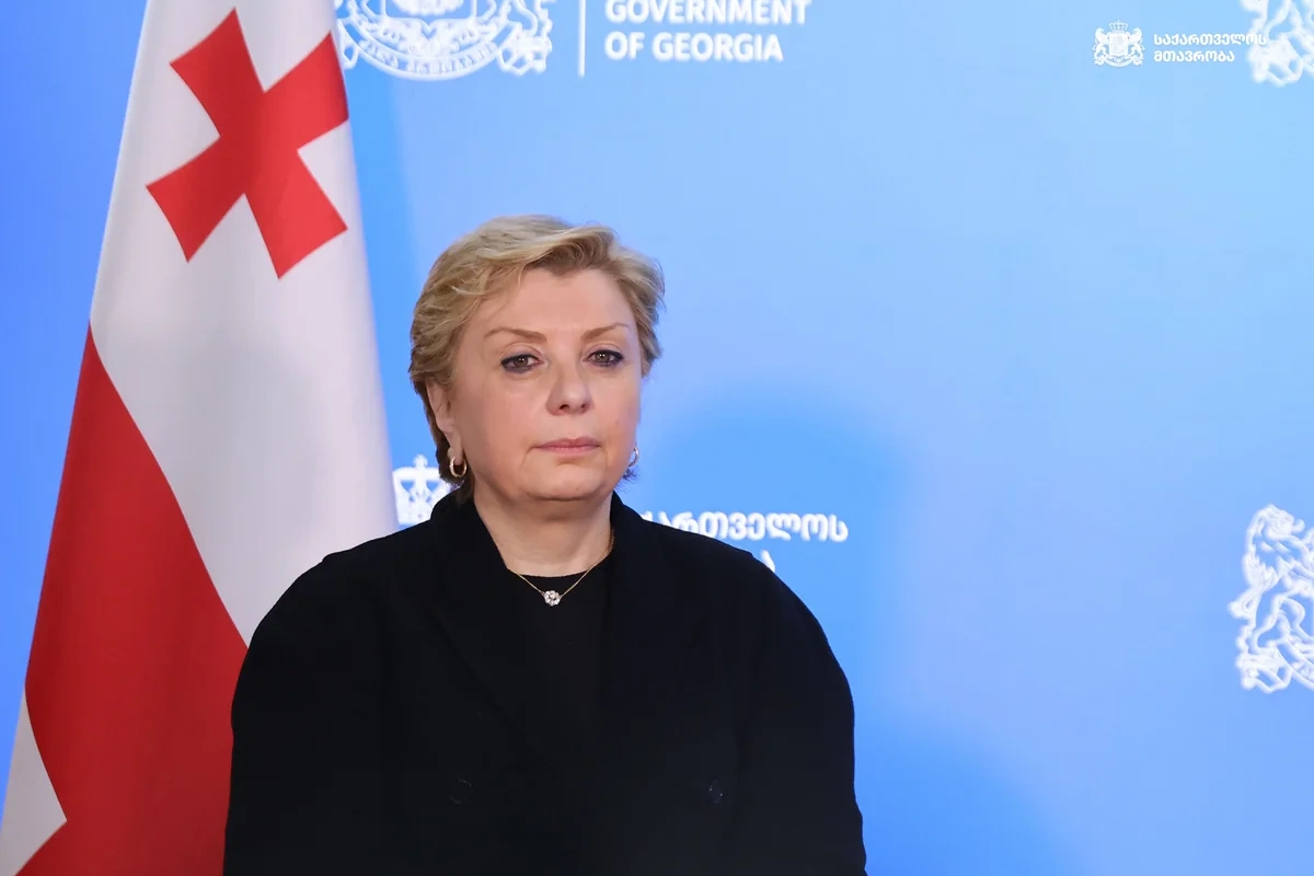 Gürcüstanın mədəniyyət naziri istefa verib