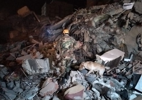 Kahramanmaraşda axtarış-xilasetmə işlərinə FHN-in xüsusi təlim keçmiş itləri də cəlb edilib Kahramanmaraşda axtarış-xilasetmə işlərinə FHN-in xüsusi təlim keçmiş itləri də cəlb edilib