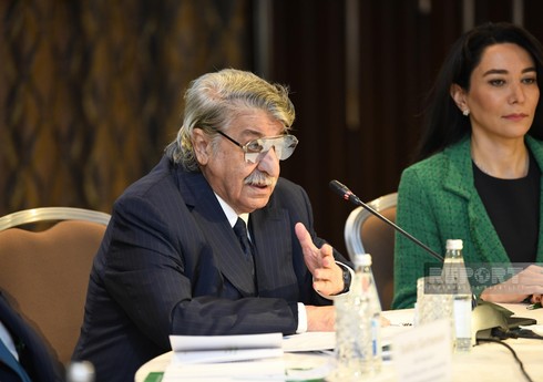 Kamran İmanov: Azərbaycan çirkin kampaniya aparılmasına baxmayaraq, COP29-u uğurla keçirəcək
