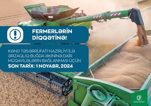 Kənd Təsərrüfatı Nazirliyi ərzaqlıq buğda istehsalçılarına müraciət edib