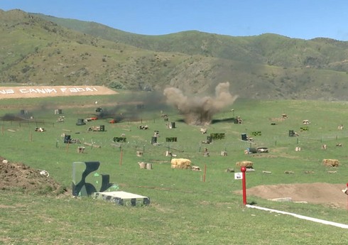 Komando bölmələri praktiki atış çalışmalarını icra edib Komando bölmələri praktiki atış çalışmalarını icra edib