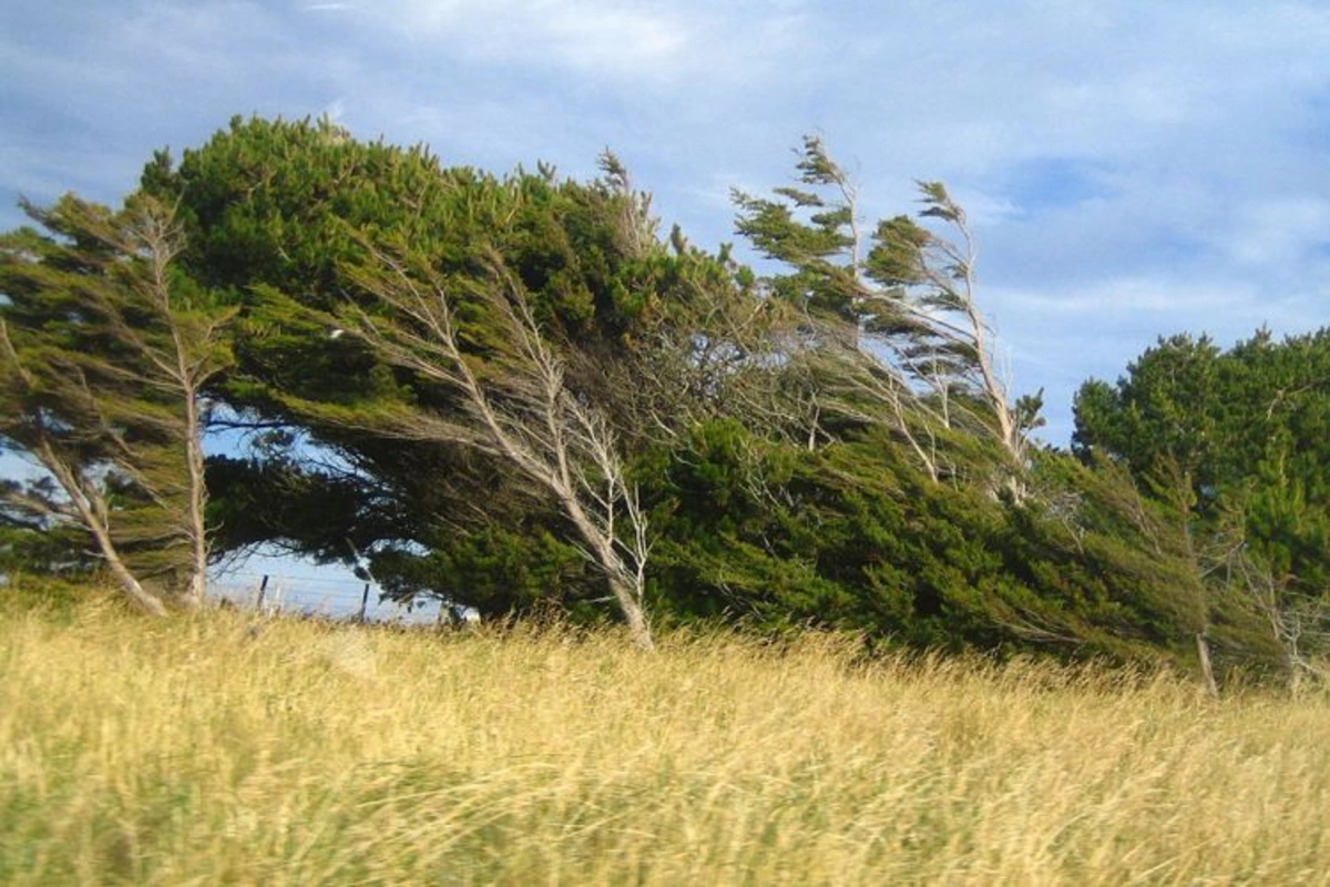 Küləkli hava şəraiti davam edir - FAKTİKİ HAVA Küləkli hava şəraiti davam edir - FAKTİKİ HAVA