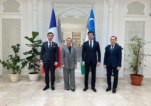 Leyla Abdullayeva Pakistan və Özbəkistanın Fransadakı səfirləri ilə görüşüb