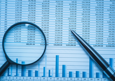 Maliyyə Monitorinqi Xidməti auditor seçib