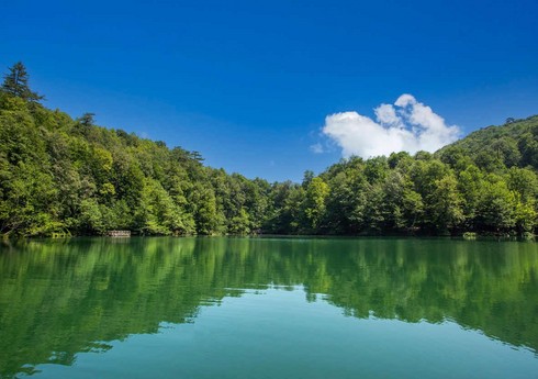 Milli parklarda gözlənilən hava şəraiti açıqlanıb Milli parklarda gözlənilən hava şəraiti açıqlanıb
