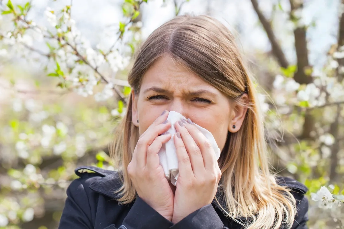 Mövsümi allergiya ilə soyuqdəyməni necə ayırd etməliyik? Mövsümi allergiya ilə soyuqdəyməni necə ayırd etməliyik?