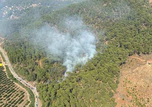 Muğlada meşə yanğını başlayıb