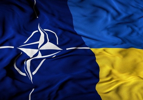 NATO və Ukrayna innovasiyalar üzrə dialoqa başlayıb