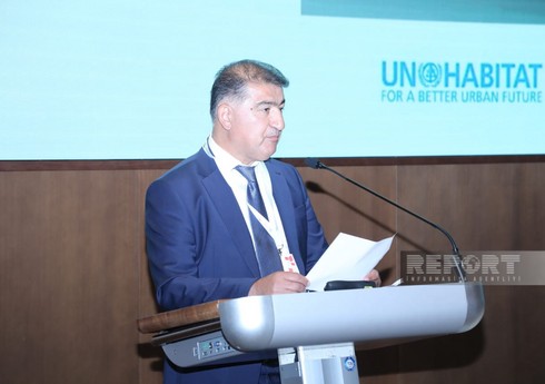Nazir müavini: 