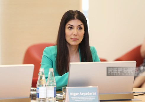 Nigar Arpadarai: Xəzər dənizinin ekoloji tarazlığı kövrəkdir