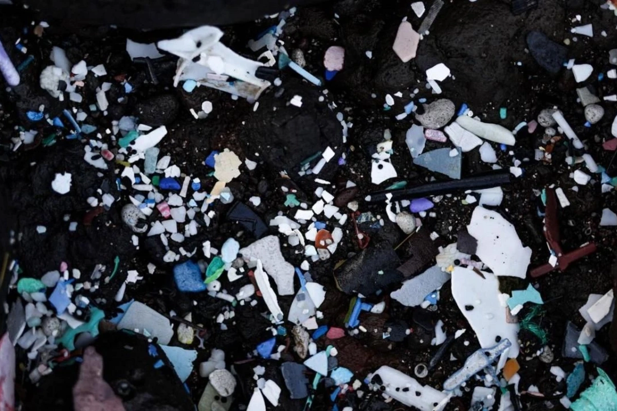 Okeanın hər qatında mikroplastik tapılıb Okeanın hər qatında mikroplastik tapılıb