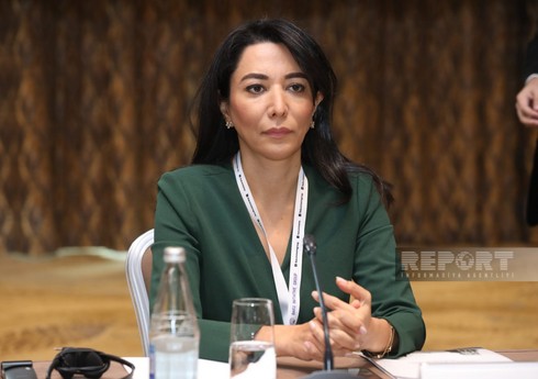 Ombudsman 2023-cü il üzrə məruzəsini Prezidentə təqdim edib Ombudsman 2023-cü il üzrə məruzəsini Prezidentə təqdim edib