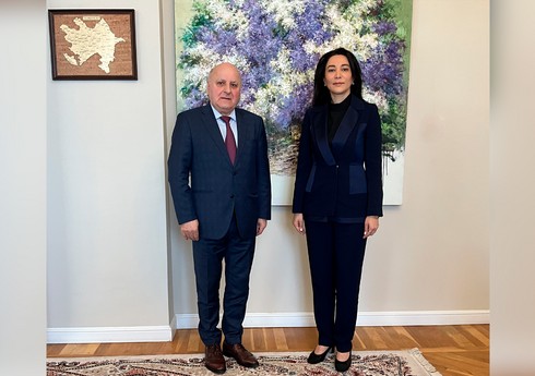Ombudsman BMT-nin komitə üzvünü bölgədəki vəziyyət barədə məlumatlandırıb Ombudsman BMT-nin komitə üzvünü bölgədəki vəziyyət barədə məlumatlandırıb