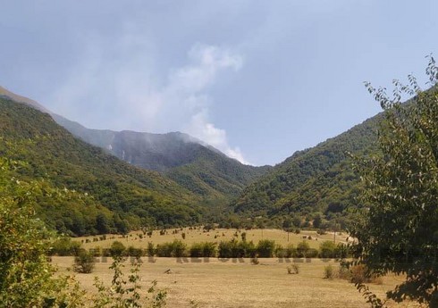 Oğuzda dağlıq ərazilərdəki yanğın söndürülüb Oğuzda dağlıq ərazilərdəki yanğın söndürülüb