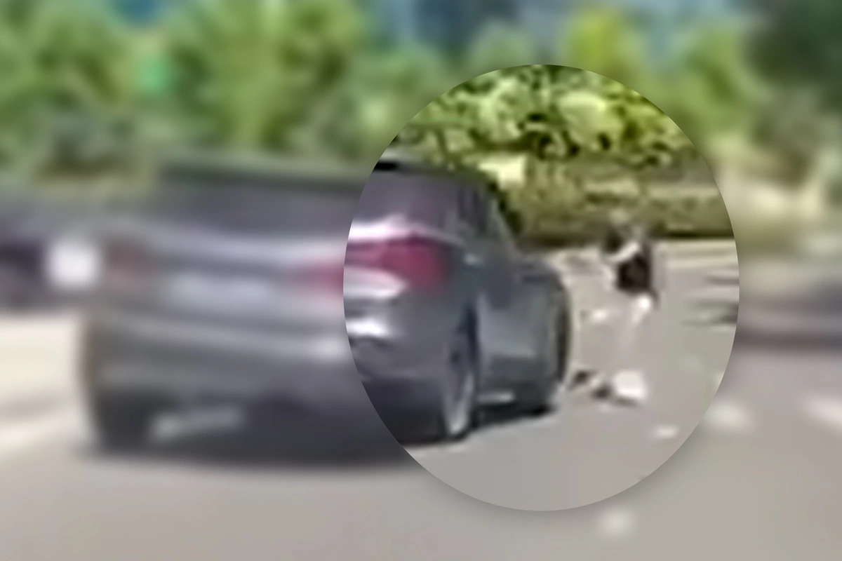 Piyada son anda ölümdən döndü